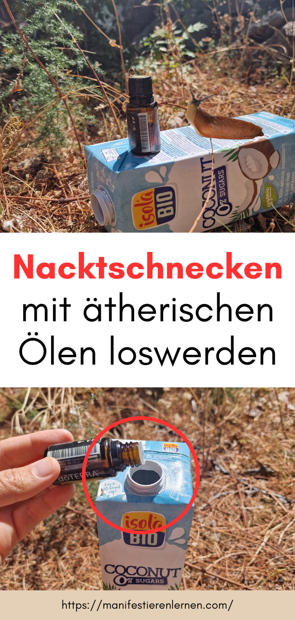 Nacktschnecken mit ätherischen Ölen loswerden