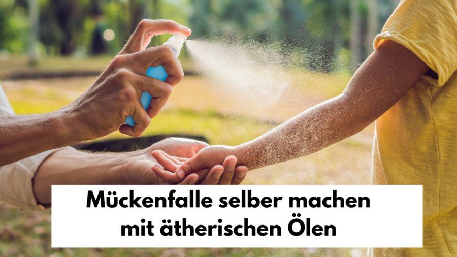 Mückenfalle mit ätherischen Ölen selber machen