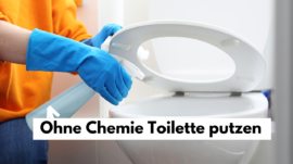 Toilette ohne Chemie putzen